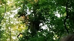 French Milf Slapped in Forest