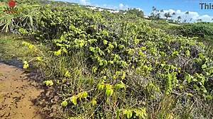 Wild nudist beach orgy with Joao o Safado and Lunna Geek! 🏖️🔥