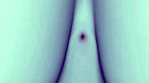 sex with vampire sunflower gets super horny 😈