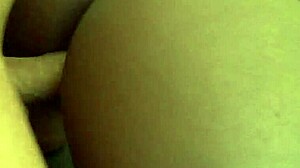 daddys sweet tooth for chanel bryant