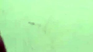 meu ex marido veio deixar nossa filha e acabei dando o cuzinho pra ele bem gostoso