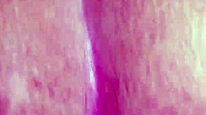 Brazilian Husband And Wife Playing Sexy In The House Pt 12 - Naughty Little 18+ Ant