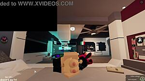 good moment with vagina in doggystyle