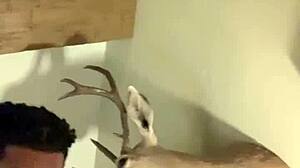 amateur missionary hotel sex with creampie doggystyle riding big ass