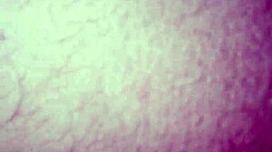 20160816 013037 Lady