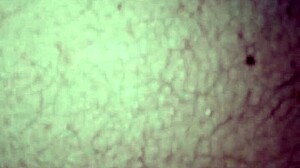 20160816 013037 Lady