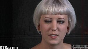 Free Sadomasochism Sex Videos