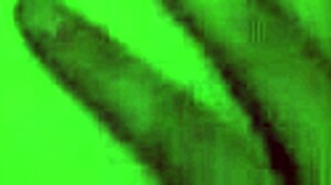 Stepmom Blows Stepson Deepthroat Taboo