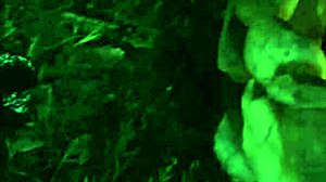 a brunette with small 18+ tits seduces a guy to fuck her through the whole night