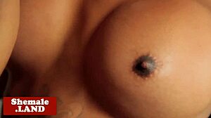 i'm a busty latina tgirl getting assfucked by a hunk in lingerie and tattoos