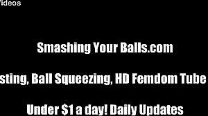 i will kick your balls back into your stomach, slave