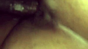 Ebony milf mrs lala receives creampie