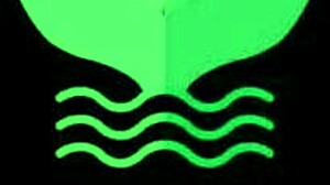 visiting my best friends mom