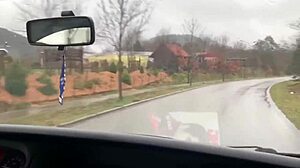 unexpected encounter in the woods with a bus driver