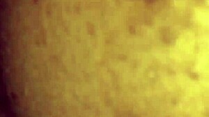 Ebony milf mrs lala receives creampie