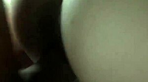 unexpected encounter in the woods with a bus driver