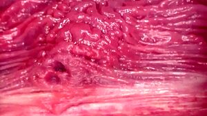 I Am Ready For Breeding With Her Wet Shaved Pussy