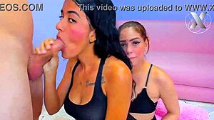 college girls suck my dick for homework help