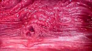 I Am Ready For Breeding With Her Wet Shaved Pussy