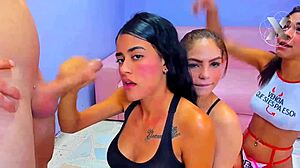 college girls suck my dick for homework help