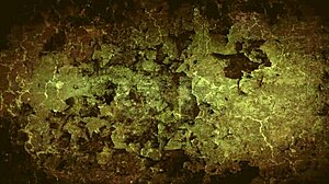 My secret life vintage granny fanny