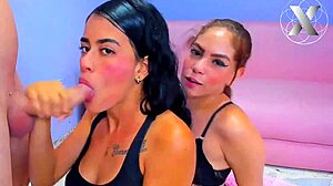 college girls suck my dick for homework help