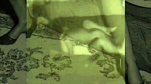 My secret life vintage granny fanny