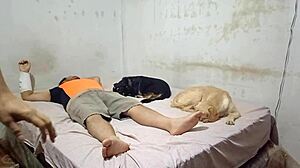 bailarina aun tiene ganas de moverse asi que decide hacerlo sobre la polla de su primo da unos sentones que me dejo seco