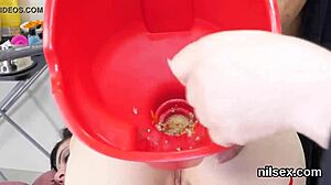 Foxy cutie taken in anal asylum!