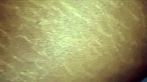 portugueses subtitles - wife fucking without a condom and getting a creampie and cuckold husband cleans his wifes inseminated pussy