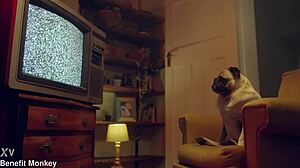 Blue-eyed teen Liz Rainbow feels overwhelmed with cum in mouth after blowjob.