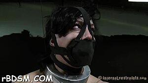 Boxed Slave Girl Gives Blowjob