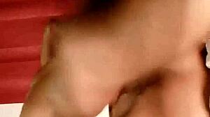 Sundaydogood614's Latest Update On July 4th