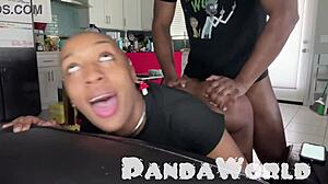 Watch This Bald Ebony Slut's Asshole Get Destroyed by BBC!