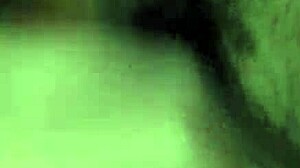 Detailed view of mexican cock in action