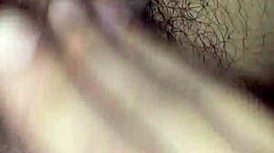 Detailed view of mexican cock in action