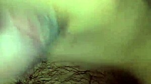 Detailed view of mexican cock in action