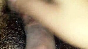 Detailed view of mexican cock in action