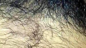 Detailed view of mexican cock in action