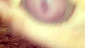 Detailed view of mexican cock in action