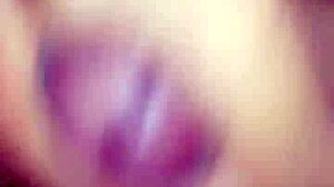 Detailed view of mexican cock in action