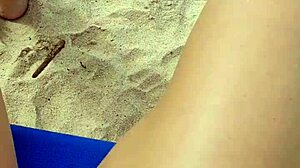 Alineflavio update 41 lv 0 20240526133716 may 26 2024