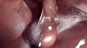 Big black dick compilation. Ready for the cumshots?