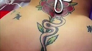 Venezuelansk mening om bedste elsker