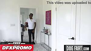 Busty babe adira allure compilation - dogfart in doggystyle, cowgirl, assfucking, blowbang, deepthroat with big black cock and monster cock in group