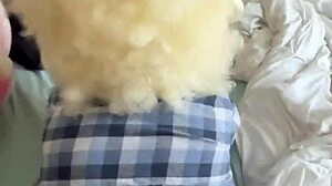 Can Ebony Blonde Handle Black Doggy Ambition?