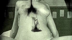 vintage glimpse dark lantern entertainment presents my secret life the 19th century diaries of an english gentleman