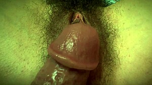 Hairy Horny Pussy Closeup As Big Dick Teases Wet Clit And Beaver