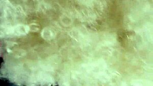 Can Ebony Blonde Handle Black Doggy Ambition?