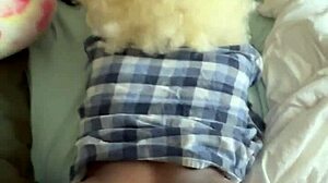 Can Ebony Blonde Handle Black Doggy Ambition?